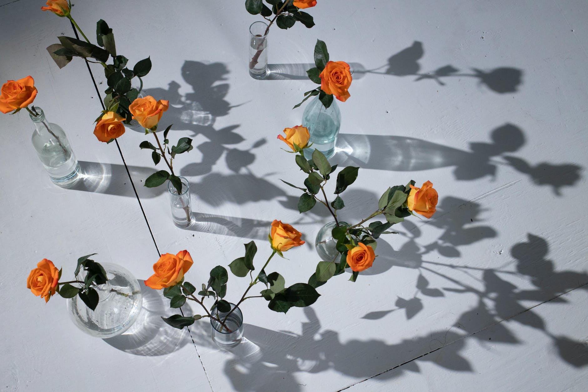 tender orange roses placed in glassware with water, Peace
