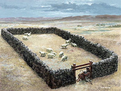 Gatekeeper, the door of the sheep, Good Shepherd